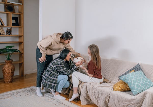 pet friendly apartments