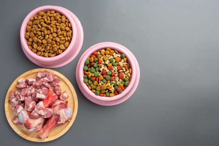 open farm dog food
